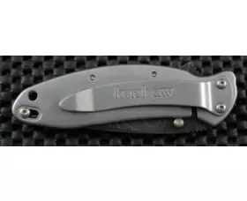 Zavírací nůž Kershaw Scallion A/O