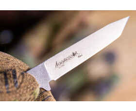 Pevný nůž KIZLYAR SUPREME® Aggressor Mini D2 Leather sheath