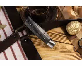 Zavírací nůž KIZLYAR SUPREME® Gent CPMS35VN Satin Carbon Fiber