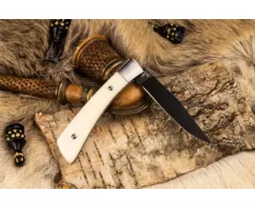 Zavírací nůž KIZLYAR SUPREME® Gent D2 BT Bone